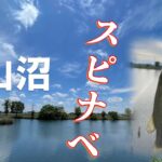 柴山沼スピナベ