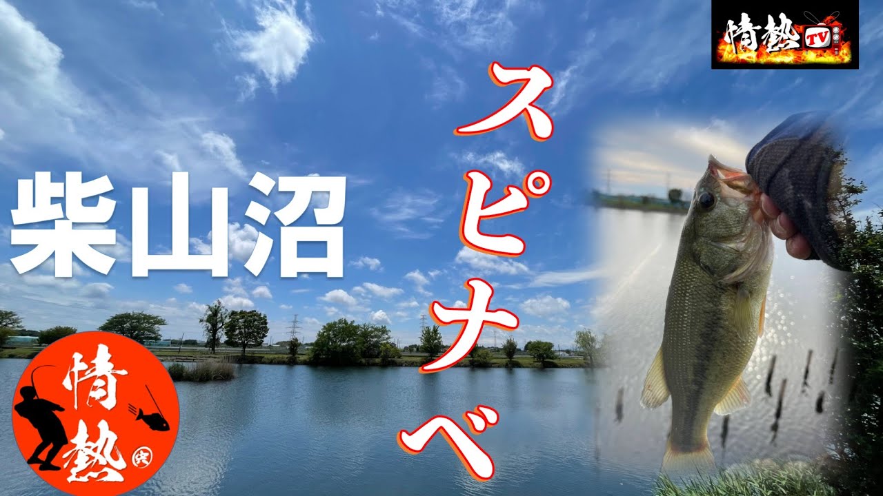 柴山沼スピナベ