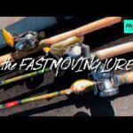 【多々良沼】秋の巻き物！減水途中の多々良沼を釣る