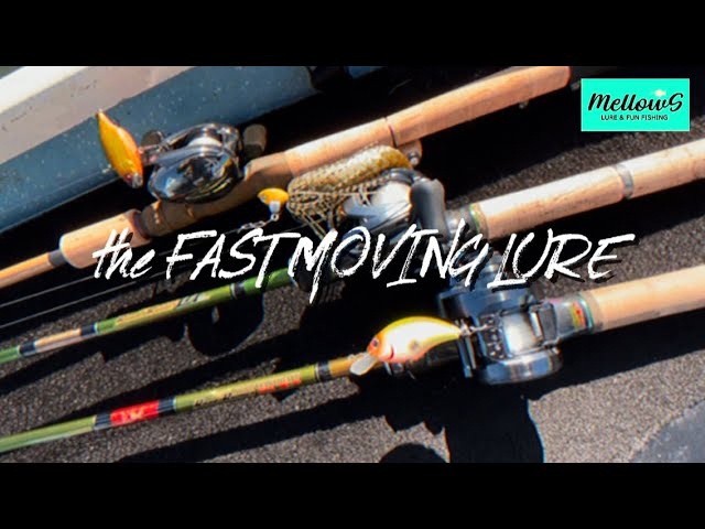 【多々良沼】秋の巻き物！減水途中の多々良沼を釣る