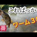 【小貝川バス釣り】どこ行っても釣れる王道ワーム スモールマウス