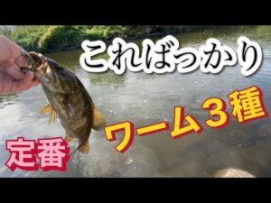 【小貝川バス釣り】どこ行っても釣れる王道ワーム スモールマウス
