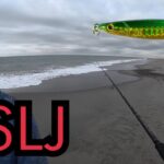 秋の遠州灘サーフでウルトラスーパーライトショアジギング