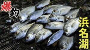 【爆釣】浜名湖メッキが大爆発!最高すぎた