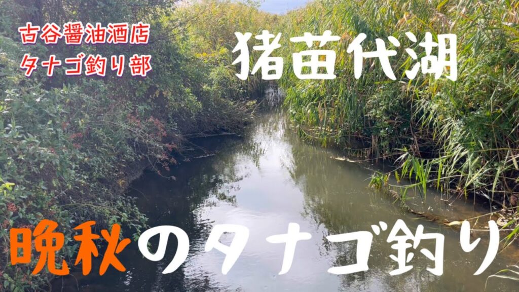 晩秋のタナゴ釣り（猪苗代湖）