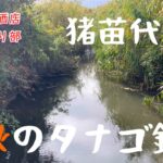 晩秋のタナゴ釣り（猪苗代湖）