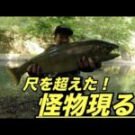 「渓流釣り」怪物現る！６７センチの超大物！