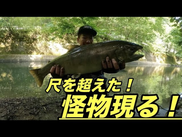 「渓流釣り」怪物現る！６７センチの超大物！