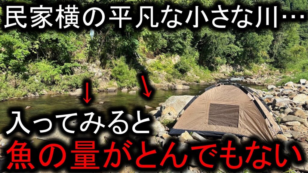 民家横の小さな川をウジャウジャ泳ぐ魚の群れ…釣って食べたら美味すぎたデイキャンプ