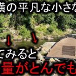 民家横の小さな川をウジャウジャ泳ぐ魚の群れ…釣って食べたら美味すぎたデイキャンプ