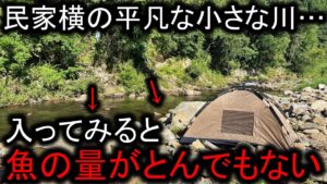 民家横の小さな川をウジャウジャ泳ぐ魚の群れ…釣って食べたら美味すぎたデイキャンプ