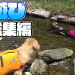 【総集編】身近な川での釣り＆水遊び！【前編】