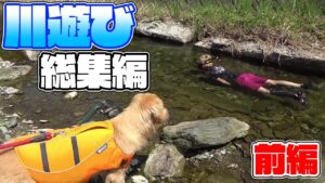 【総集編】身近な川での釣り＆水遊び！【前編】