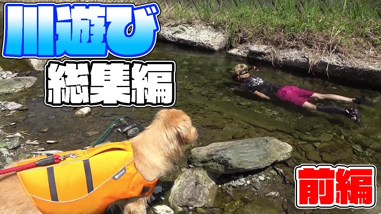 【総集編】身近な川での釣り&水遊び!【前編】