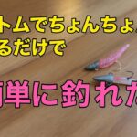 【相模川河口】ボトムワインドで簡単に釣れた！#相模川河口  #ライトゲーム #メッキ #マゴチ #アジングロッド