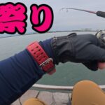 【浜名湖】ふらっと立ち寄った海釣り公園が祭り過ぎてベリーイージーモード