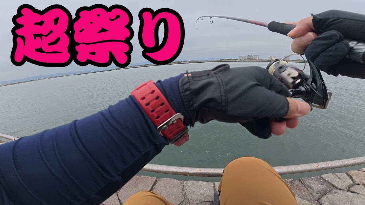 【浜名湖】ふらっと立ち寄った海釣り公園が祭り過ぎてベリーイージーモード