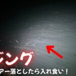 【アジング】浜名湖でルアーを投げたら入れ食いだった！