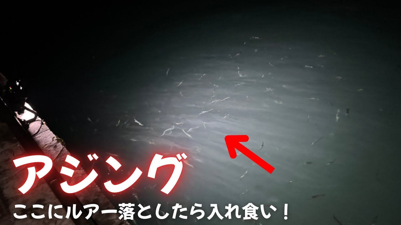 【アジング】浜名湖でルアーを投げたら入れ食いだった!