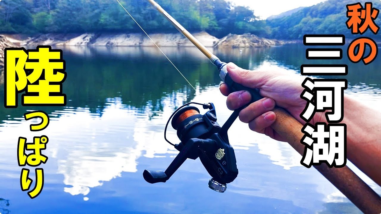 [バス釣り]　秋の三河湖でおかっぱり　減水の湖　ズームサファリ/カーディナル
