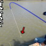 東京での釣りに憧れている男が釣りしたら〇〇が大爆釣！！
