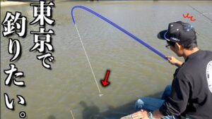 東京での釣りに憧れている男が釣りしたら〇〇が大爆釣！！
