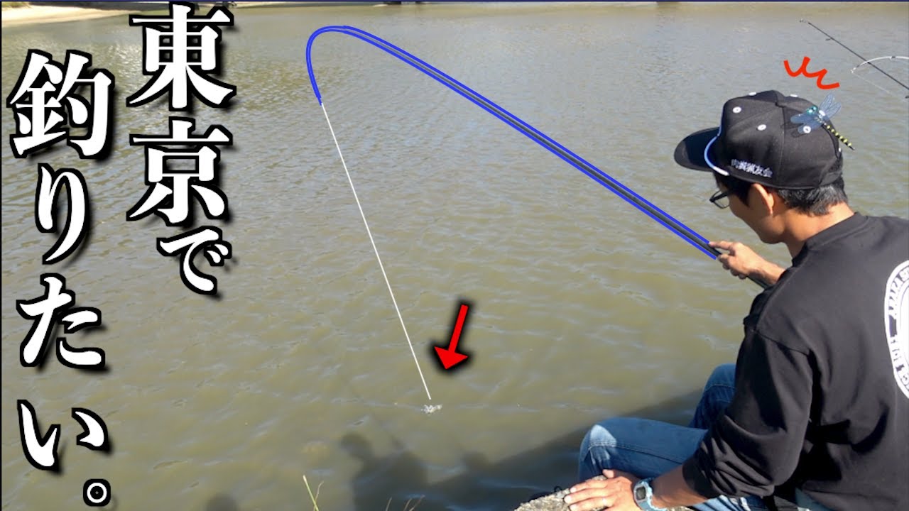 東京での釣りに憧れている男が釣りしたら〇〇が大爆釣!!