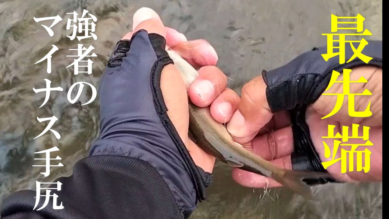鮎釣り 新常識?終盤に若い鮎が釣れる意外なエリア/矢作川