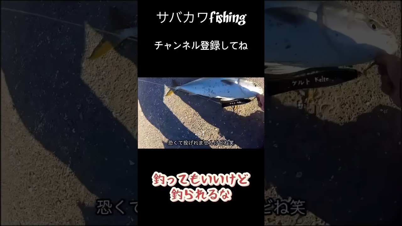 浜名湖 海釣り公園 青物 ハイシーズンなら一投目で 釣れる ワラサ 回遊魚 ショアジギング ルアー トップ