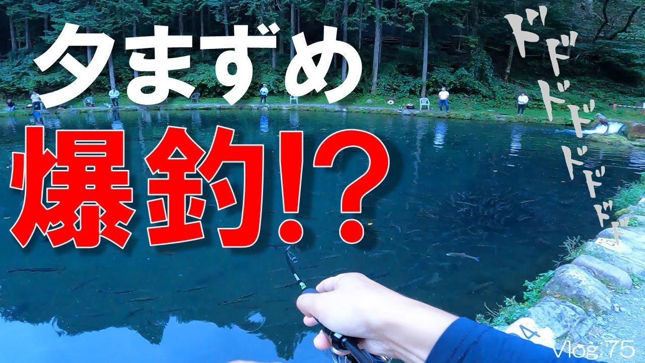 【エリアトラウト】夕まずめが予想以上にすごかった…!!【小菅トラウトガーデン】