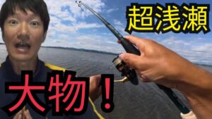 浜名湖の超浅瀬でコンパクトロッド使って釣りしたら大物が…