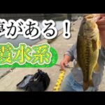 【霞ヶ浦バス釣り】１級ポイント！ 新川縛り スレ具合は特級  おかっぱり