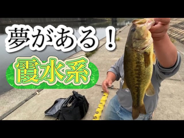 【霞ヶ浦バス釣り】1級ポイント! 新川縛り スレ具合は特級 おかっぱり