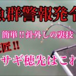 【木崎湖】魚群警報発令!!  秋のワカサギ釣りがヤバすぎた