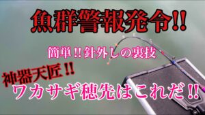 【木崎湖】魚群警報発令!! 秋のワカサギ釣りがヤバすぎた