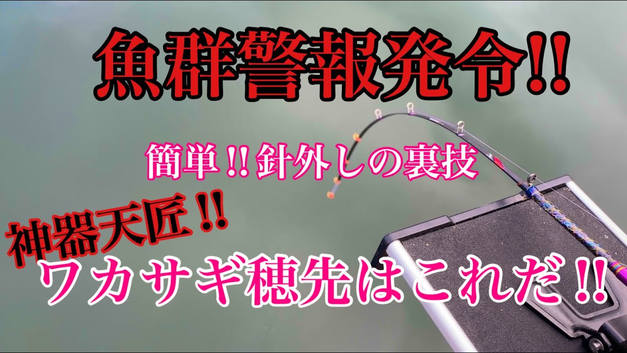【木崎湖】魚群警報発令!! 秋のワカサギ釣りがヤバすぎた