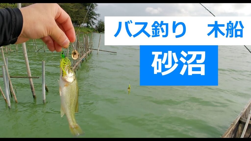 【茨城バス釣り】砂沼バス