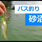 【茨城バス釣り】砂沼バス