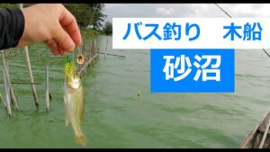 【茨城バス釣り】砂沼バス