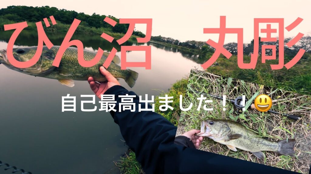 丸堀、びん沼バス釣り