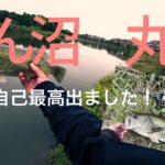 丸堀、びん沼バス釣り