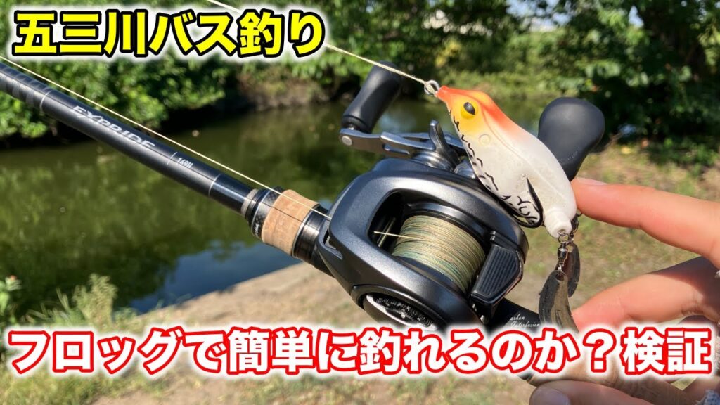 岐阜県五三川バス釣り。ハイプレッシャーなポイントでもフロッグでカバーを狙えば簡単に釣れるのか？試してみる