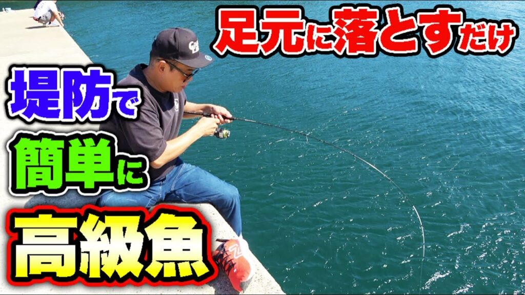 悪条件でも堤防から狙える超美味しい魚を釣る！！