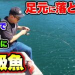 悪条件でも堤防から狙える超美味しい魚を釣る！！