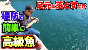 悪条件でも堤防から狙える超美味しい魚を釣る!!