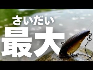 【エリアトラウト】過去最大サイズを捕獲！大物が釣れる管理釣り場で自己記録更新！蛇尾川フィッシングパークでベビーバイブが対活躍！