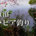 【手賀沼、ウキ釣り】【利根川＆荒川水系、バス釣り、コイ釣り、雷魚釣り、ナマズ釣り、フィシング、埼玉釣り、関東釣り、千葉釣り、茨城釣り、テラピア釣り、餌釣り、柏エリア】