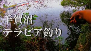 【手賀沼、ウキ釣り】【利根川＆荒川水系、バス釣り、コイ釣り、雷魚釣り、ナマズ釣り、フィシング、埼玉釣り、関東釣り、千葉釣り、茨城釣り、テラピア釣り、餌釣り、柏エリア】