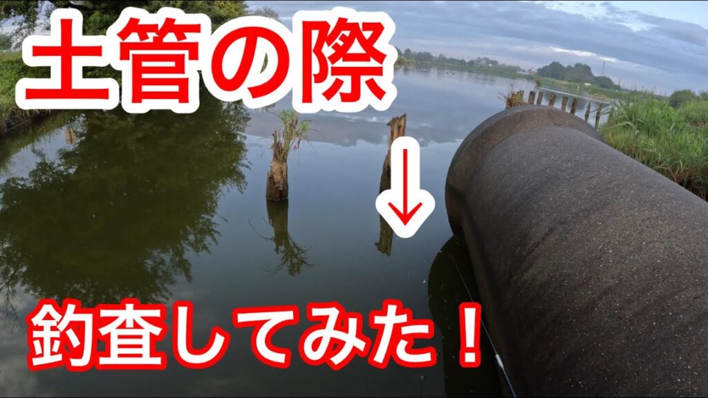 「土管の際を釣査」　#山ノ神沼　#小物釣り