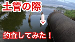 「土管の際を釣査」 #山ノ神沼 #小物釣り